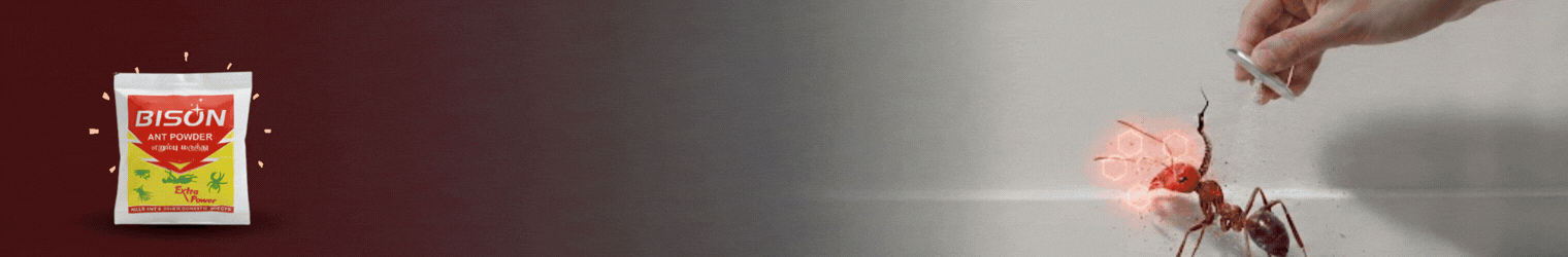 Ants & Cockroach Kill Powder